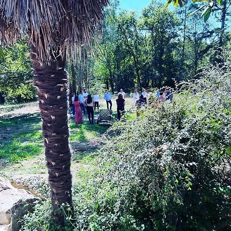 La Croix Perrine בית אירוח La Verrie