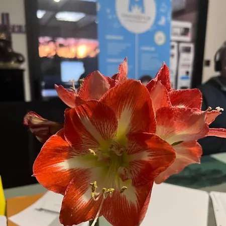 La Croix Perrine בית אירוח