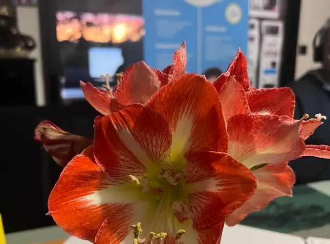 La Croix Perrine 홈스테이